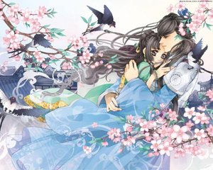 18岁以下禁止看的打扑克视频